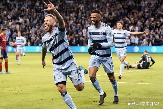 的分析与解 的分析与解