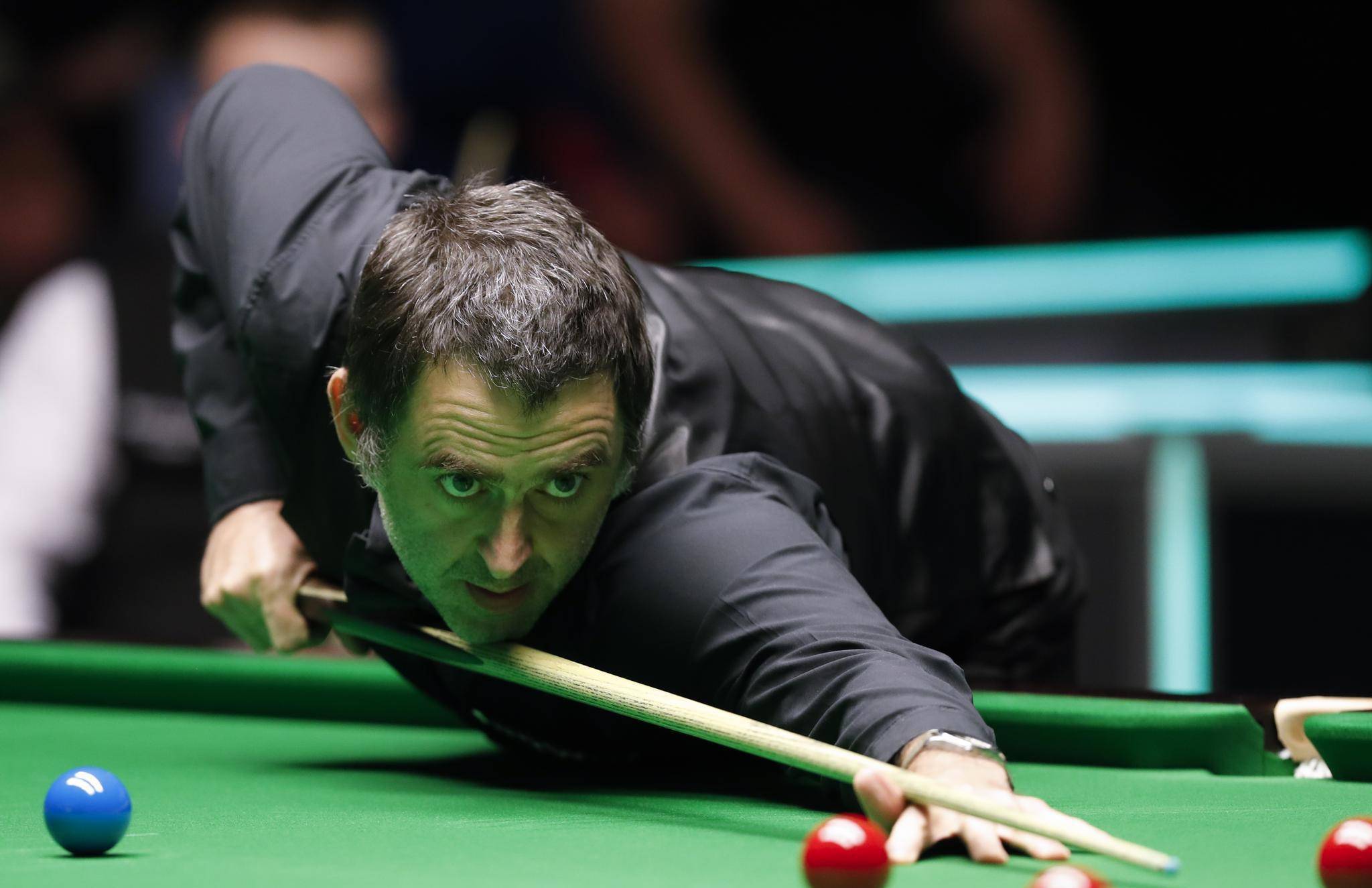 组惊人的数 组惊人的数